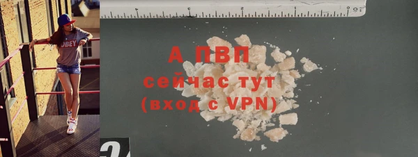 хмурый Долгопрудный