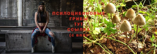 apvp Белокуриха