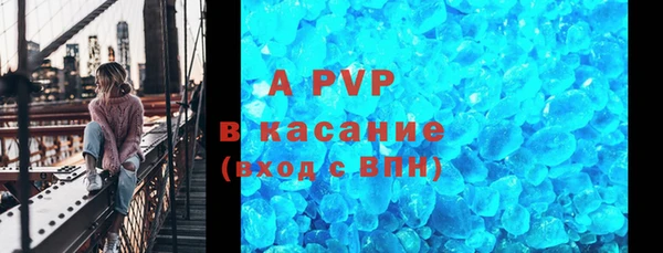 хмурый Долгопрудный