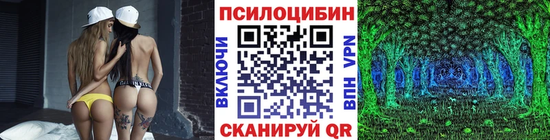 Псилоцибиновые грибы Cubensis  Белоусово 
