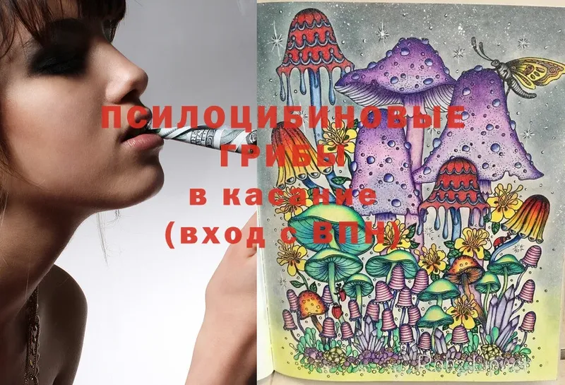 закладки  Белоусово  Галлюциногенные грибы Magic Shrooms 